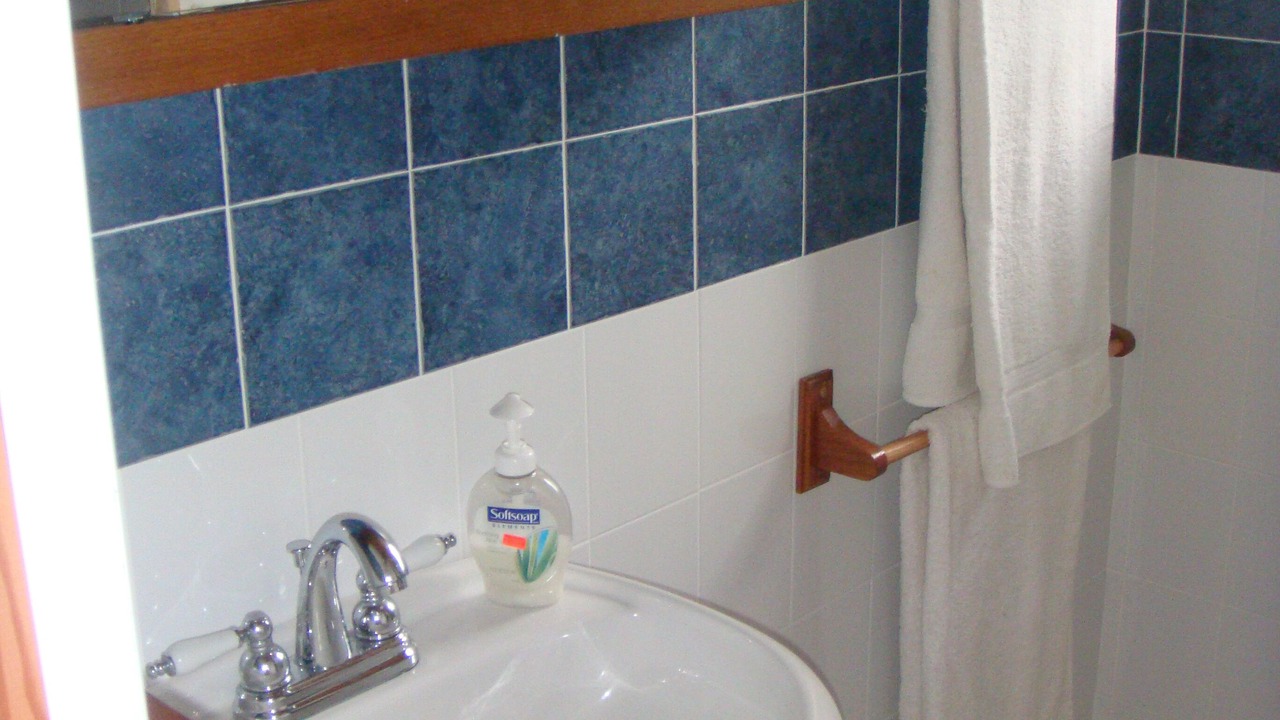 Photo of Bathroom in Little Harbour