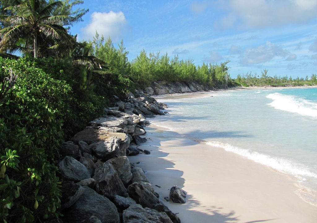 Photo of Others in North Palmetto Point