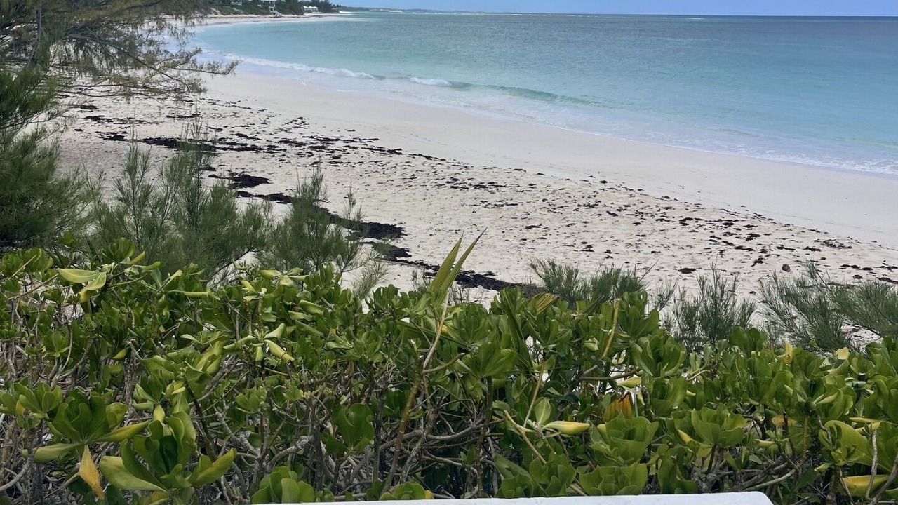 Photo of Others in North Palmetto Point