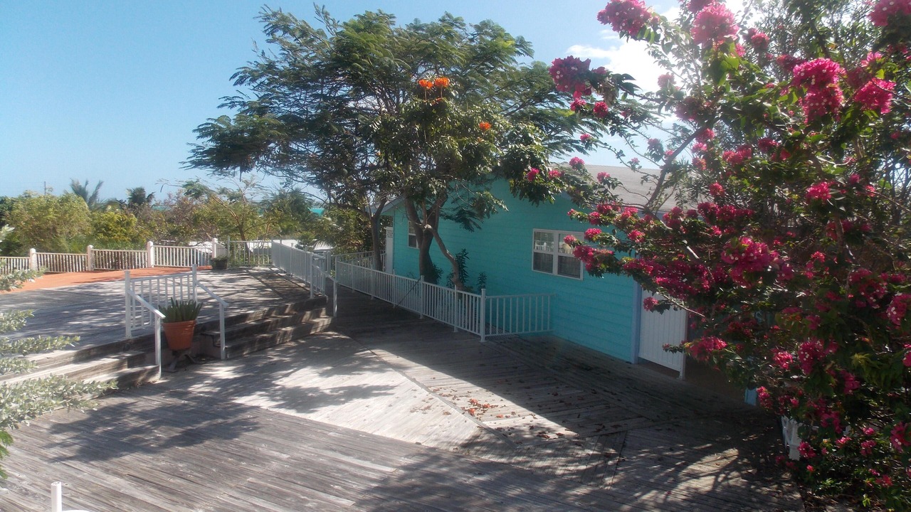 Photo of Outdoor in Rokers Point
