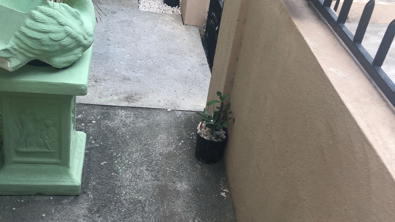 Photo of Outdoor in Greater Portmore
