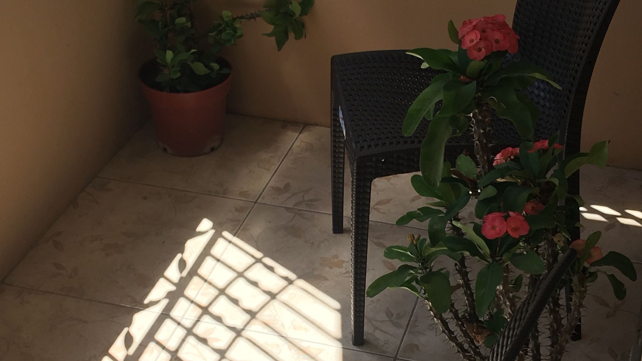 Photo of Patio Balcony in Greater Portmore