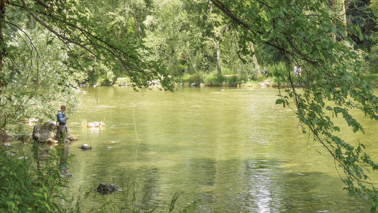 Photo of Others in Tarzo