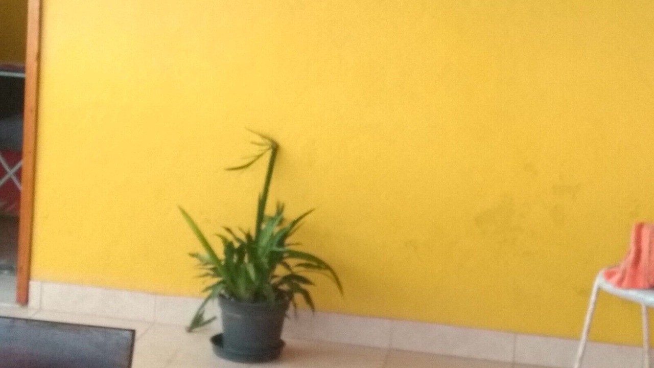 Photo of Outdoor in Mombaca