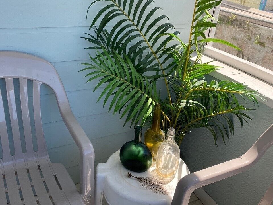Photo of Outdoor in Green Turtle Cay