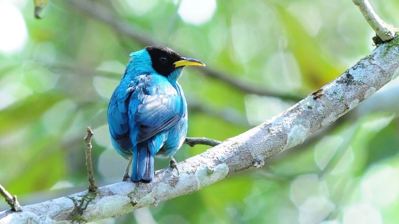 Photo of Outdoor in Paraty