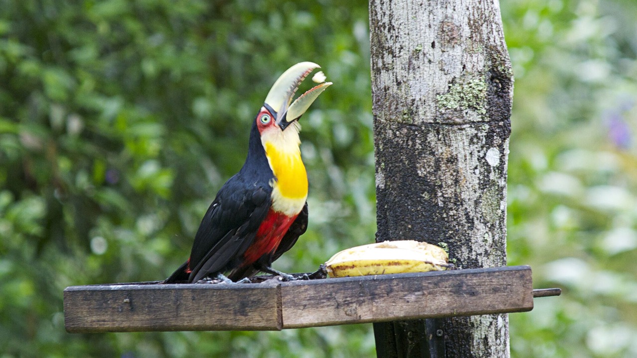 Photo of Outdoor in Paraty