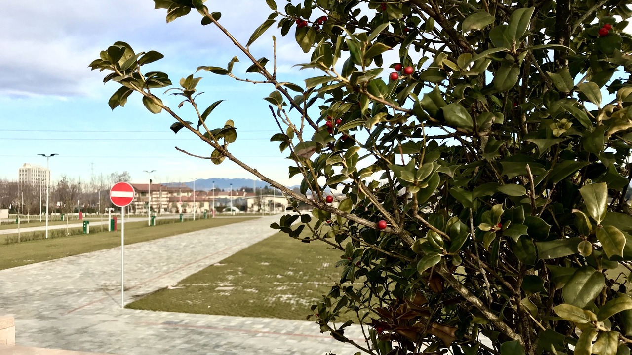 Photo of Outdoor in Sud