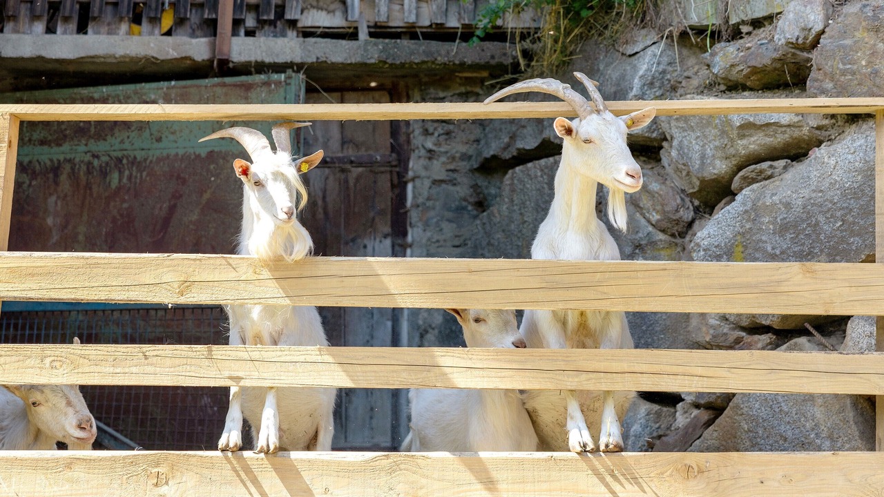Photo of Others in San Lorenzo di Sebato