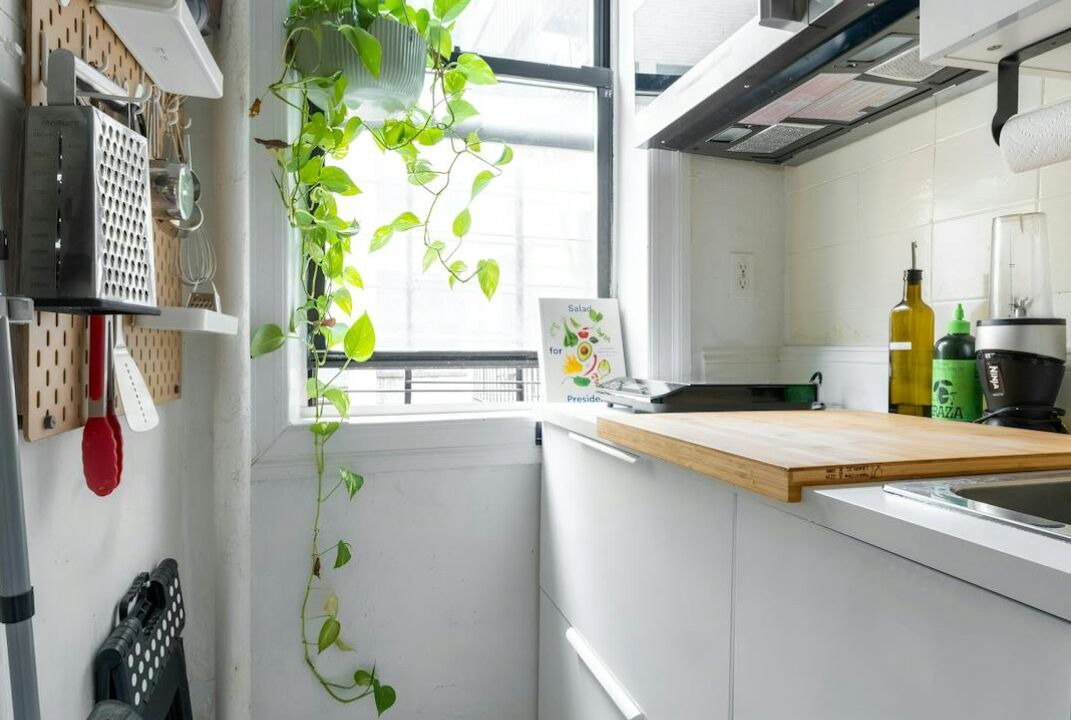 Photo of Kitchen in Prospect Lefferts Gardens