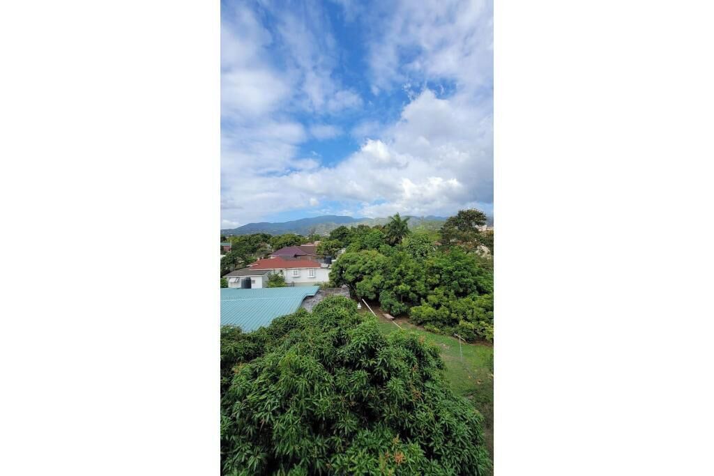 Photo of Others in Rollington Town