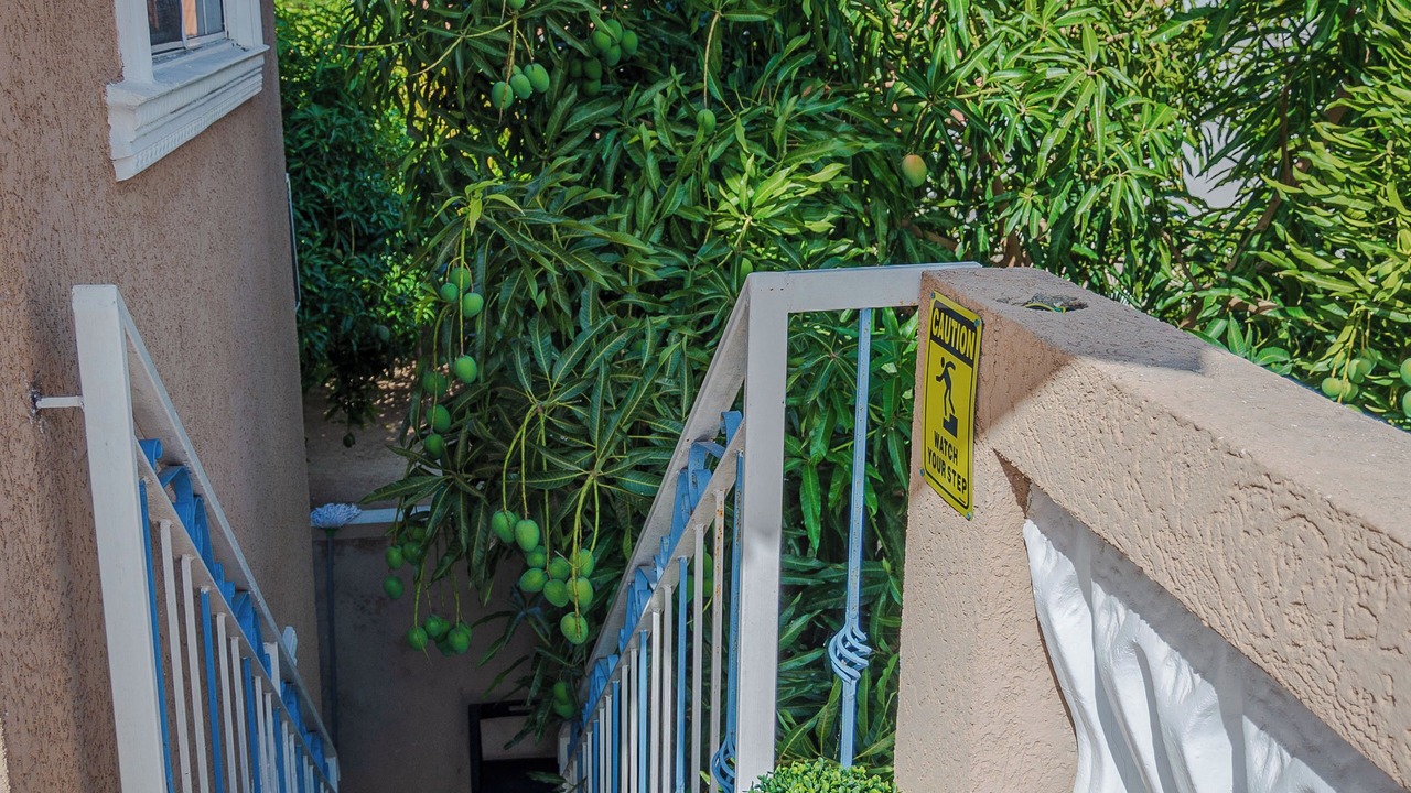 Photo of Outdoor in Caribbean Estates