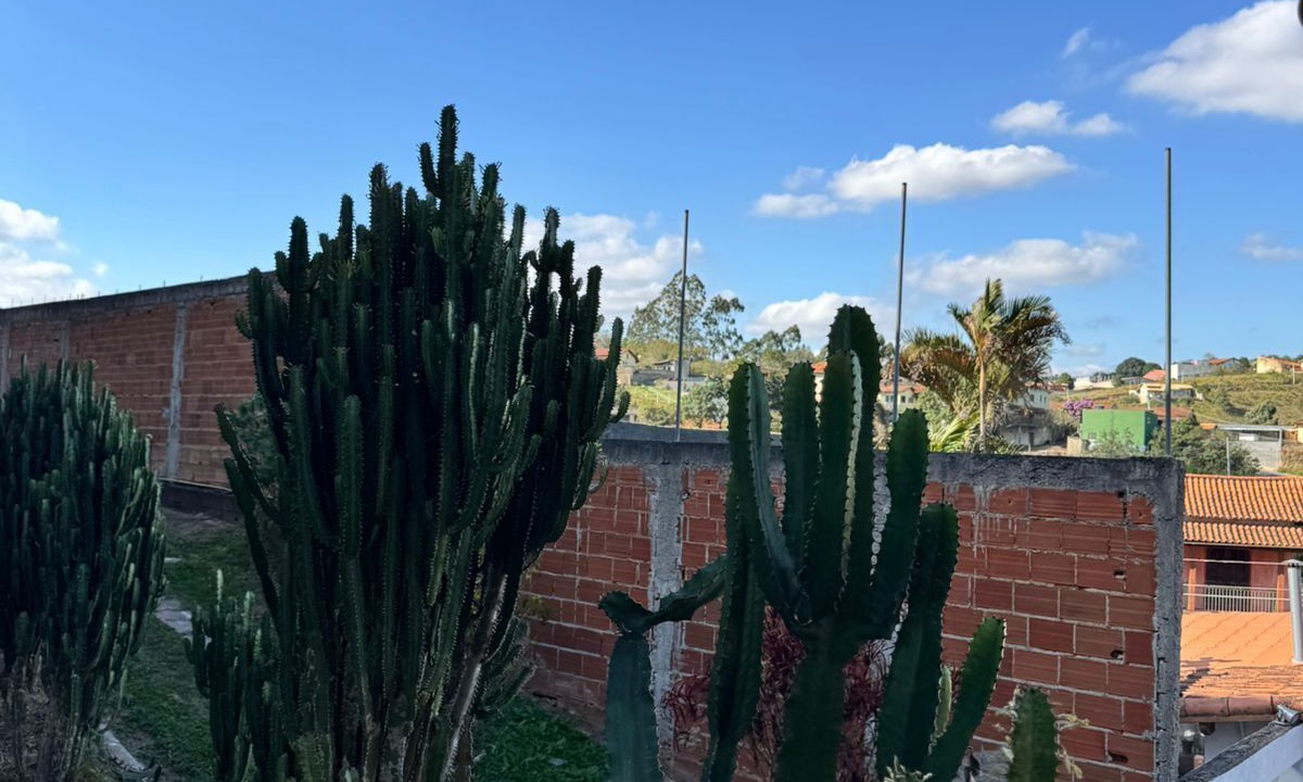 Photo of Outdoor in Vila Margarida