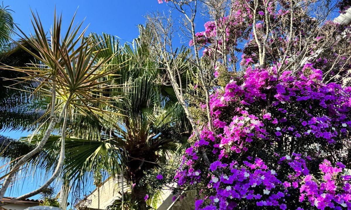 Photo of Outdoor in Vila Margarida