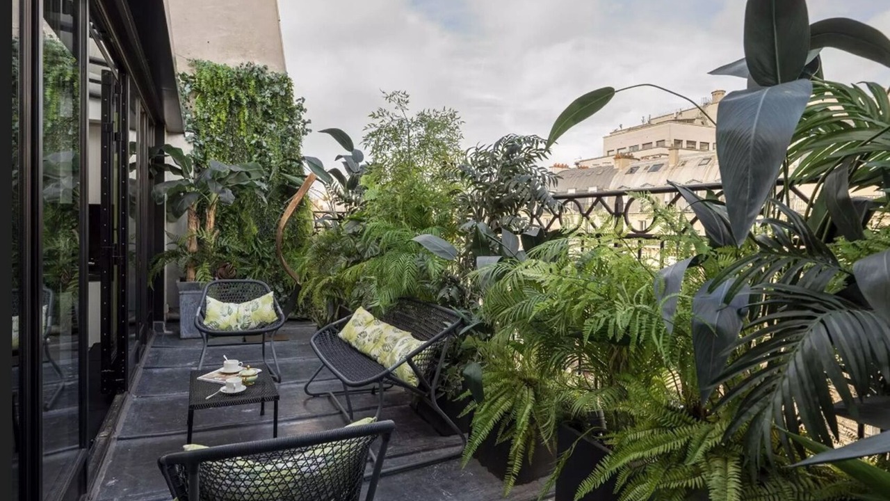Photo of Patio Balcony in 6th Arrondissement