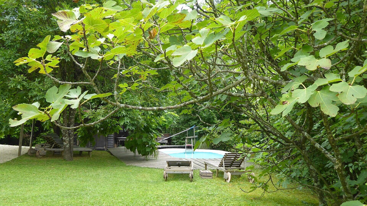 Photo of Outdoor in Cornuda