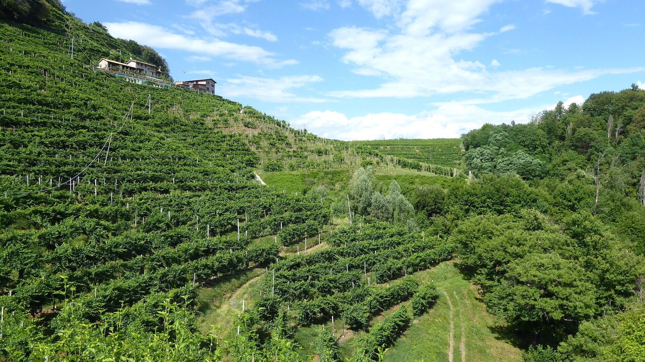 Photo of Outdoor in Cornuda