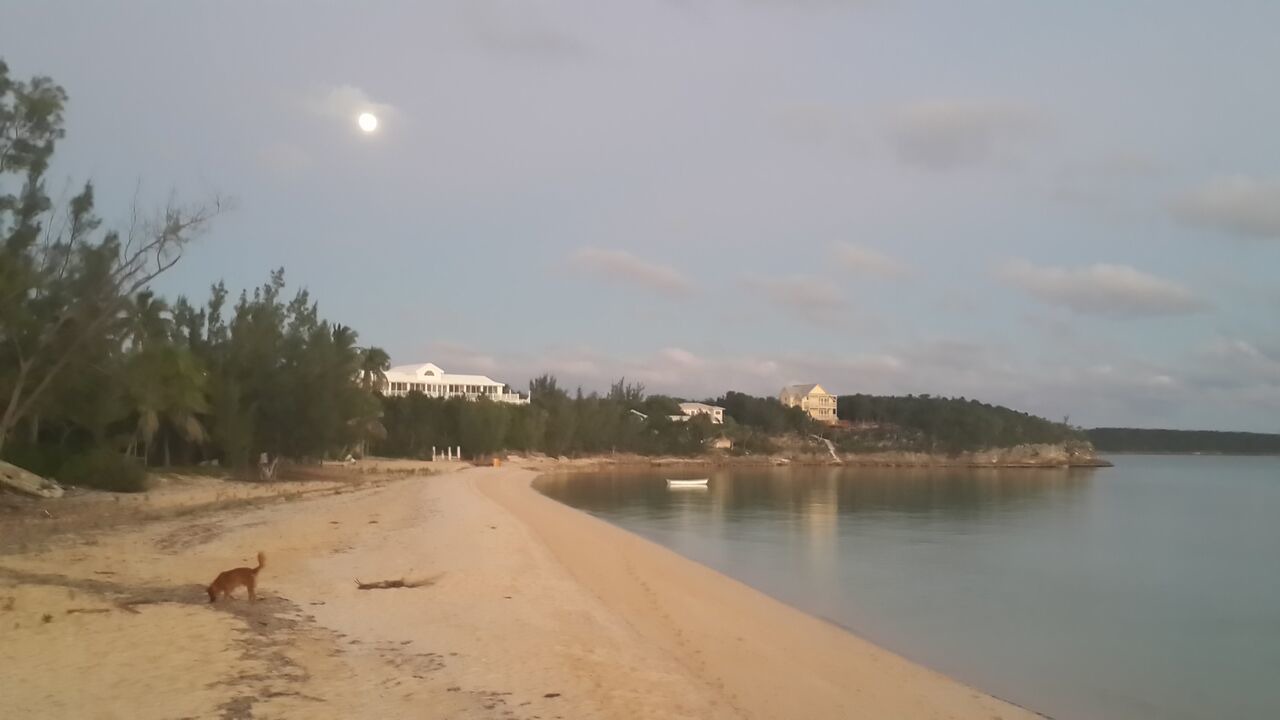 Photo of Others in South Palmetto Point