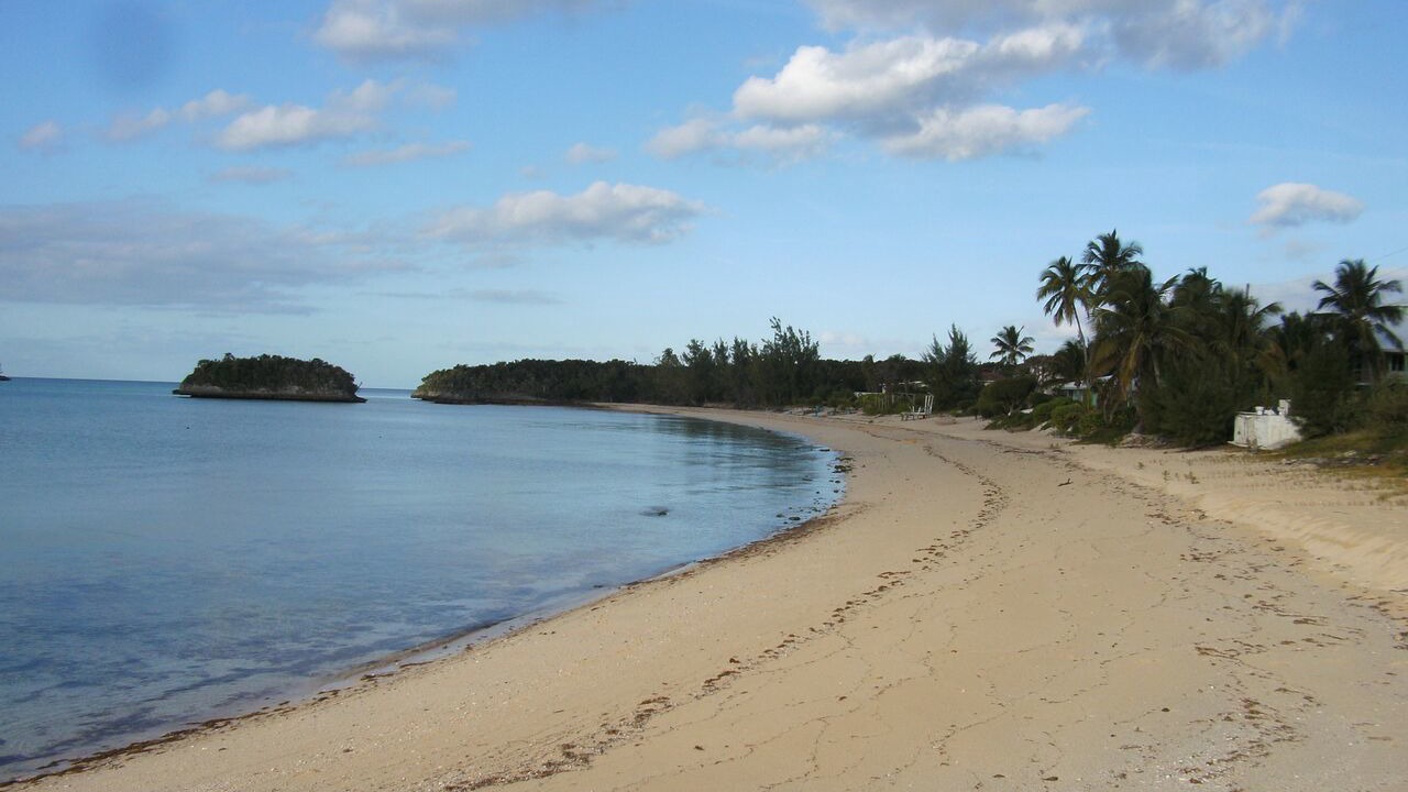 Photo of Others in South Palmetto Point
