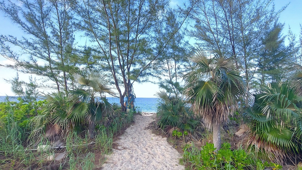 Photo of Others in North Palmetto Point