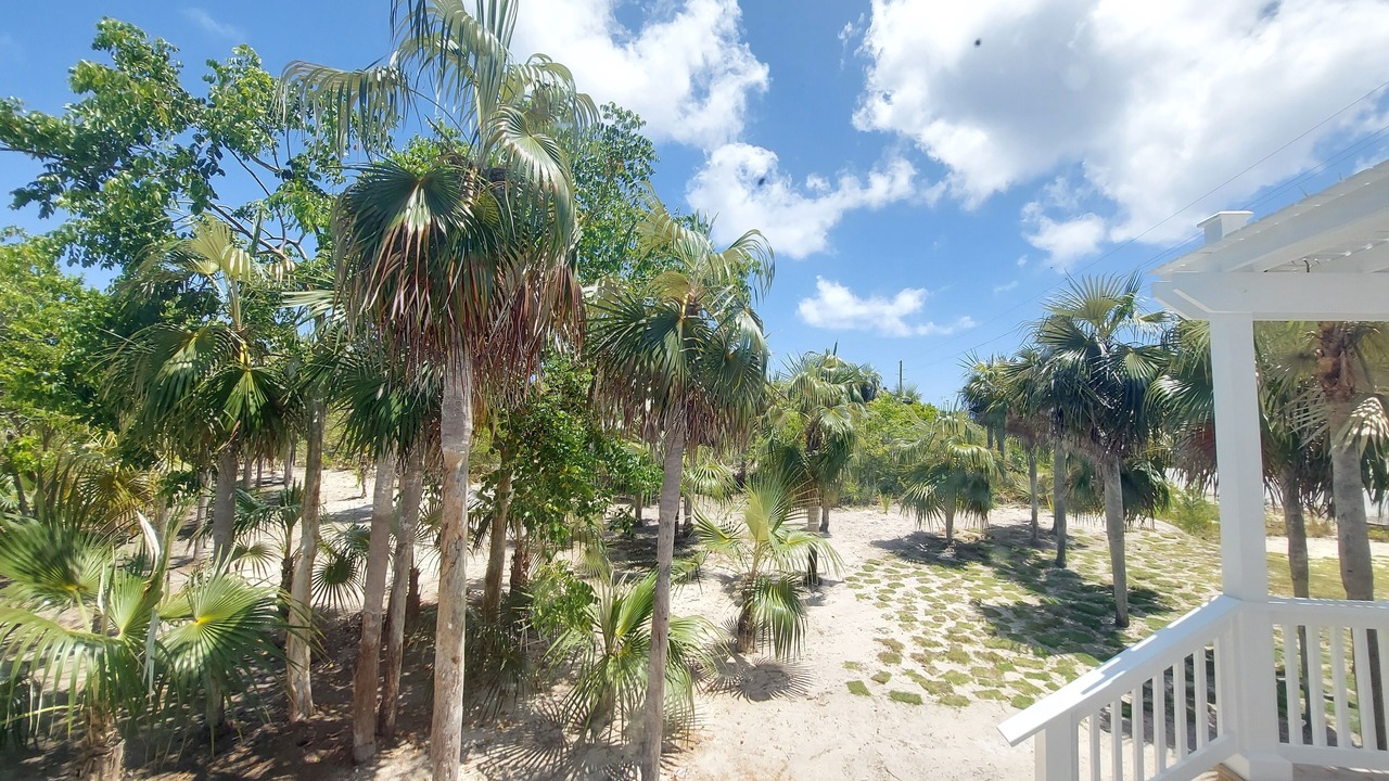 Photo of Others in North Palmetto Point