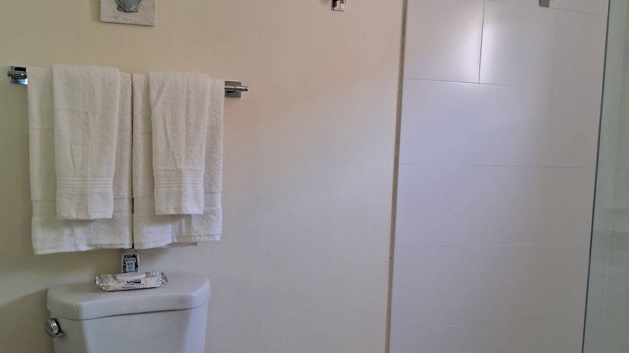 Photo of Bathroom in Portmore