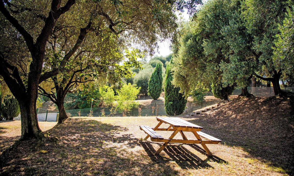 Photo of Outdoor in Teolo