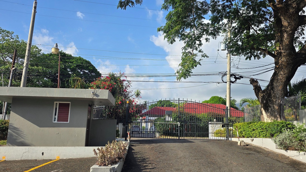 Photo of Outdoor in Camperdown