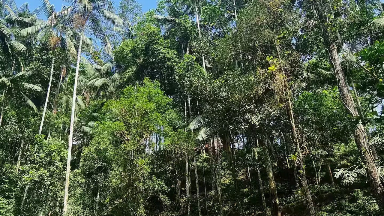Photo of Others in Penedo