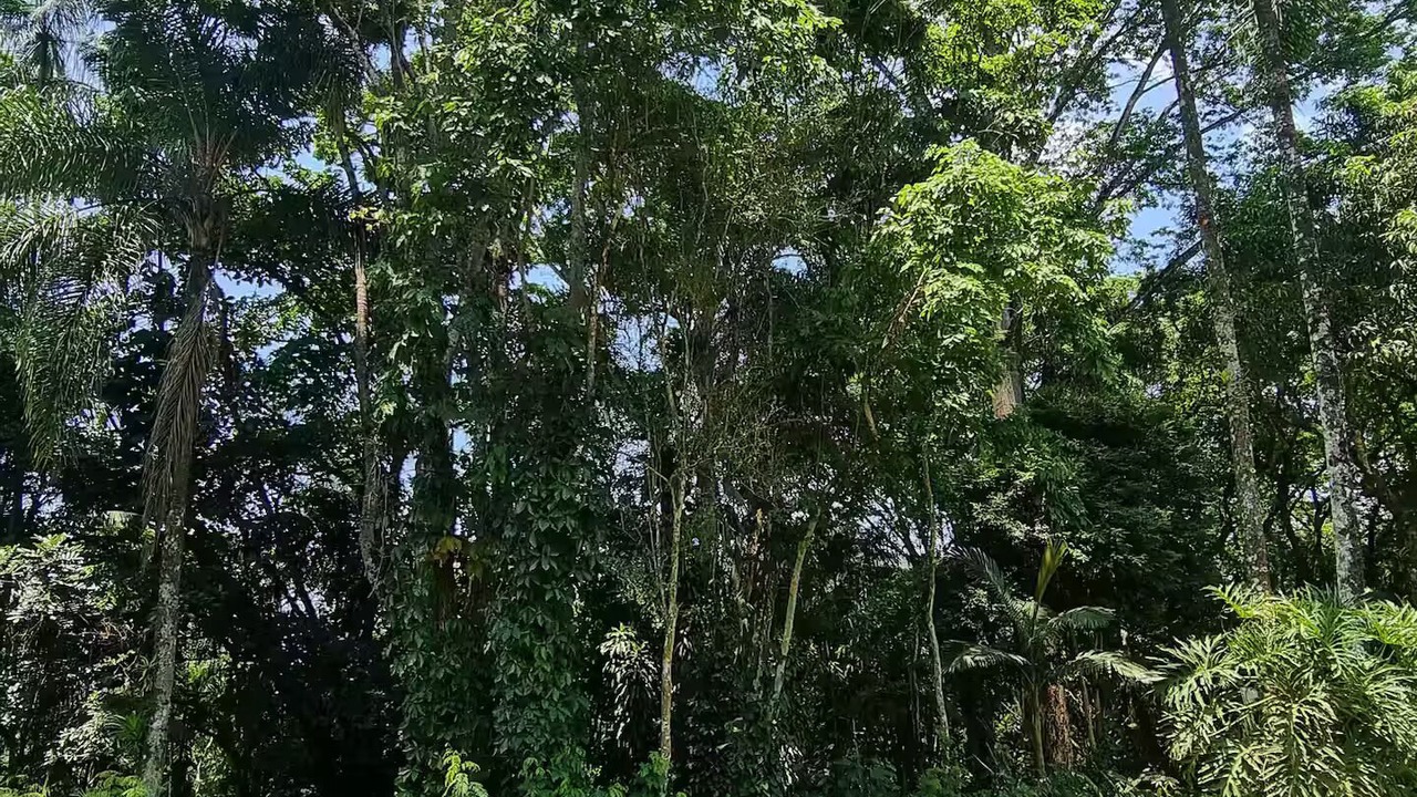 Photo of Others in Penedo