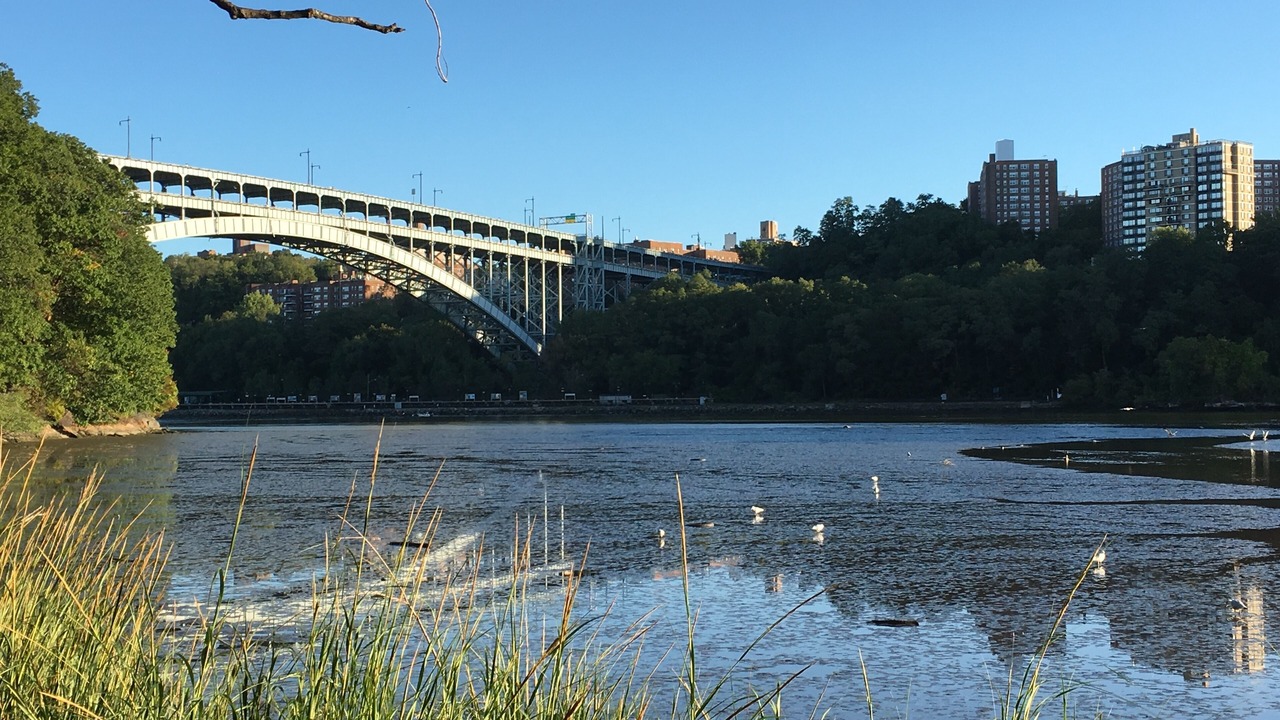 Photo of Others in Inwood