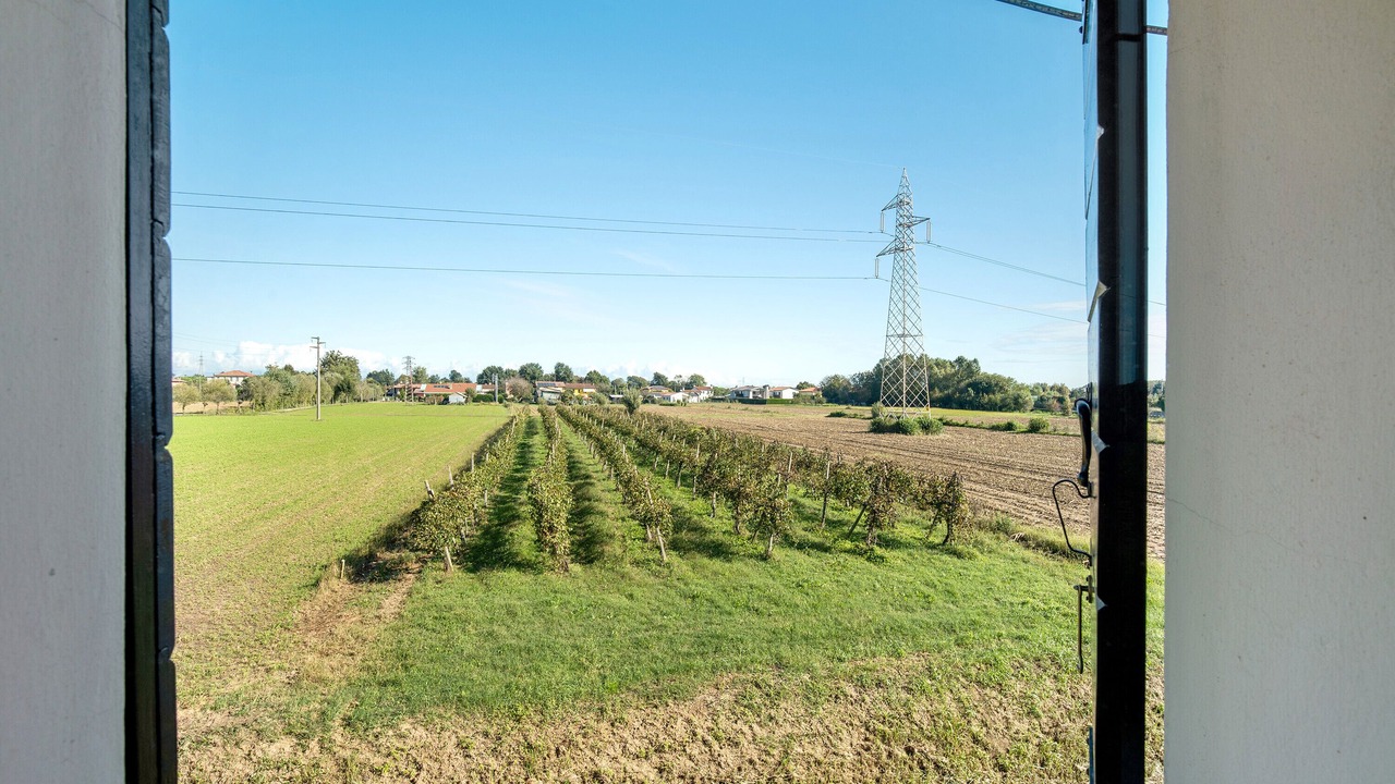 Photo of Others in Mirano
