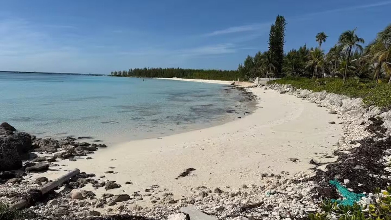 Photo of Others in Bahamas Terrace