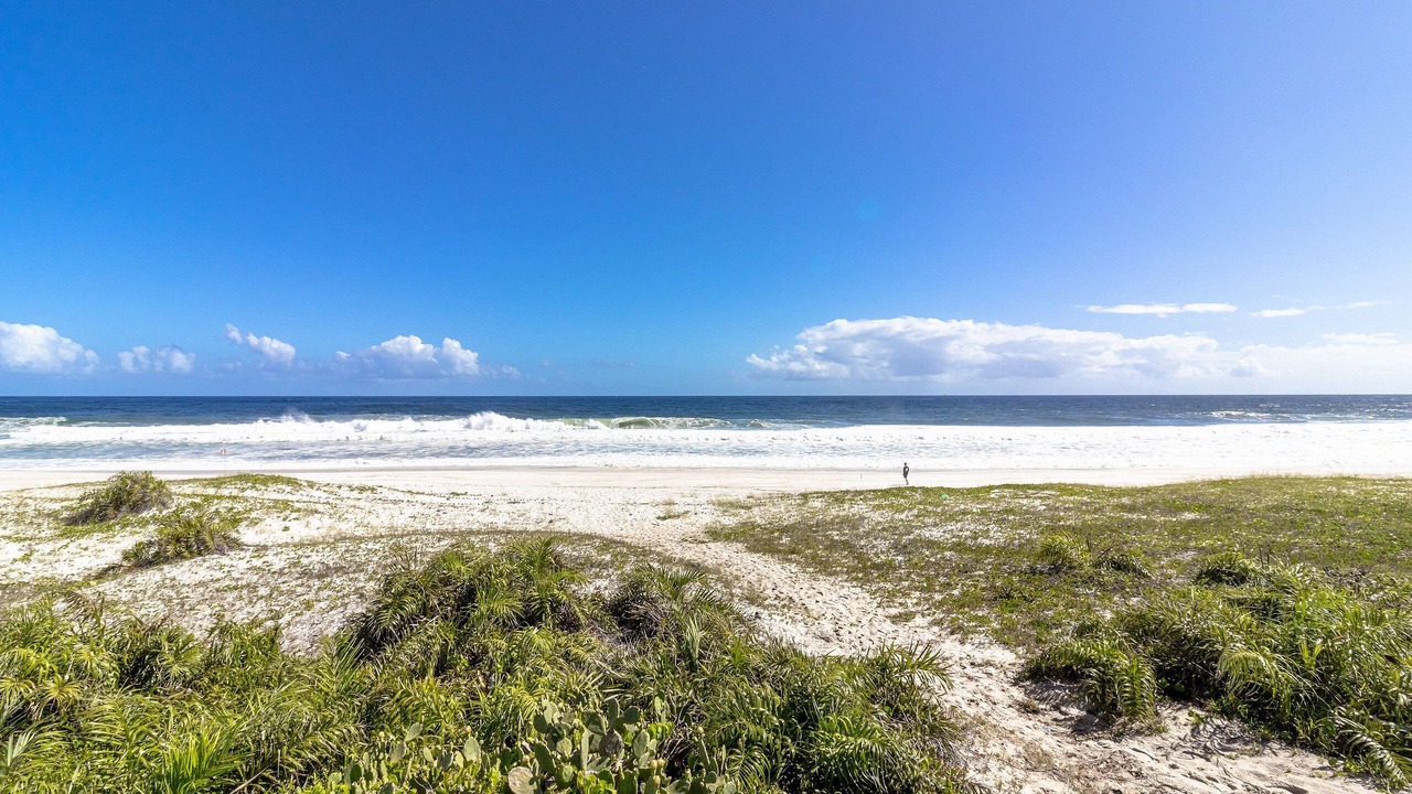 Photo of Others in Praia Seca