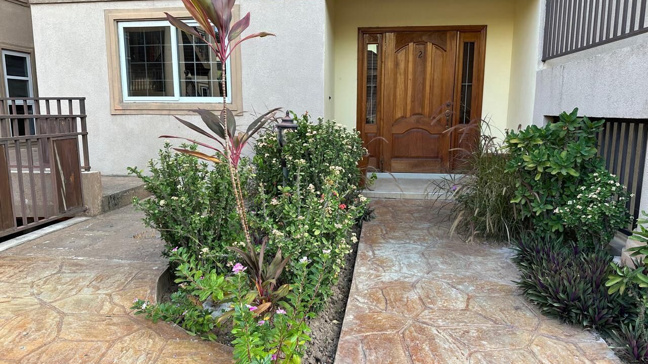 Photo of Outdoor in New Kingston