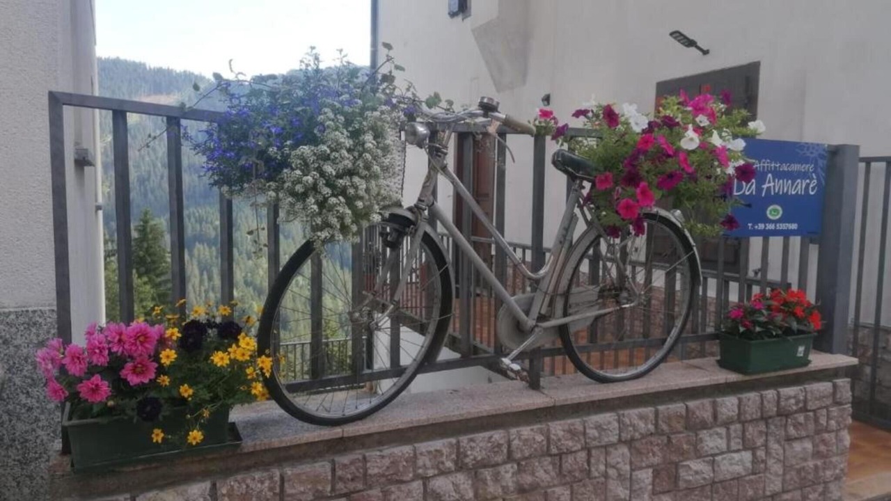 Photo of Outdoor in Comelico Superiore