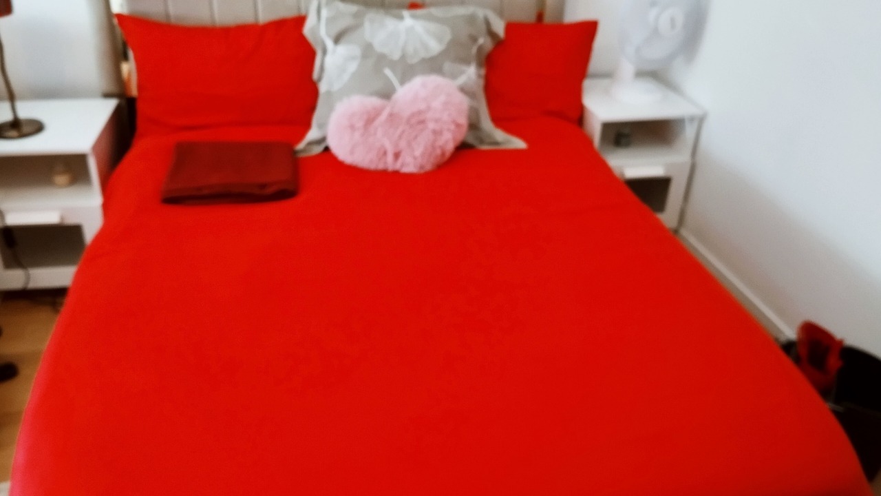 Photo of Bedroom in Chevilly-Larue