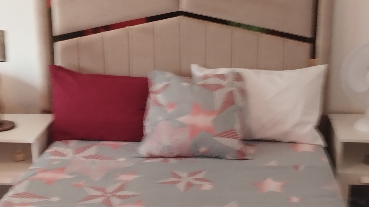Photo of Bedroom in Chevilly-Larue