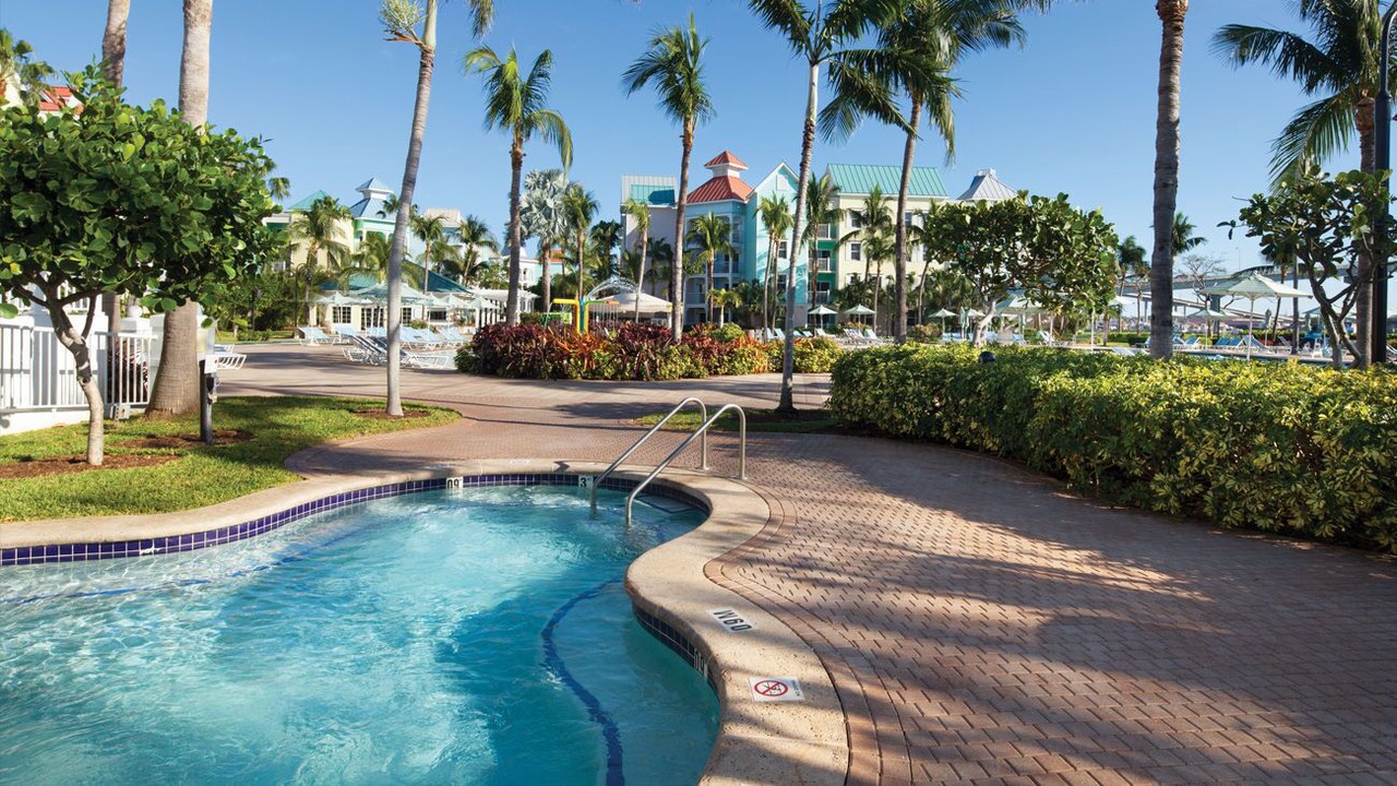 Photo of Others in Paradise Island