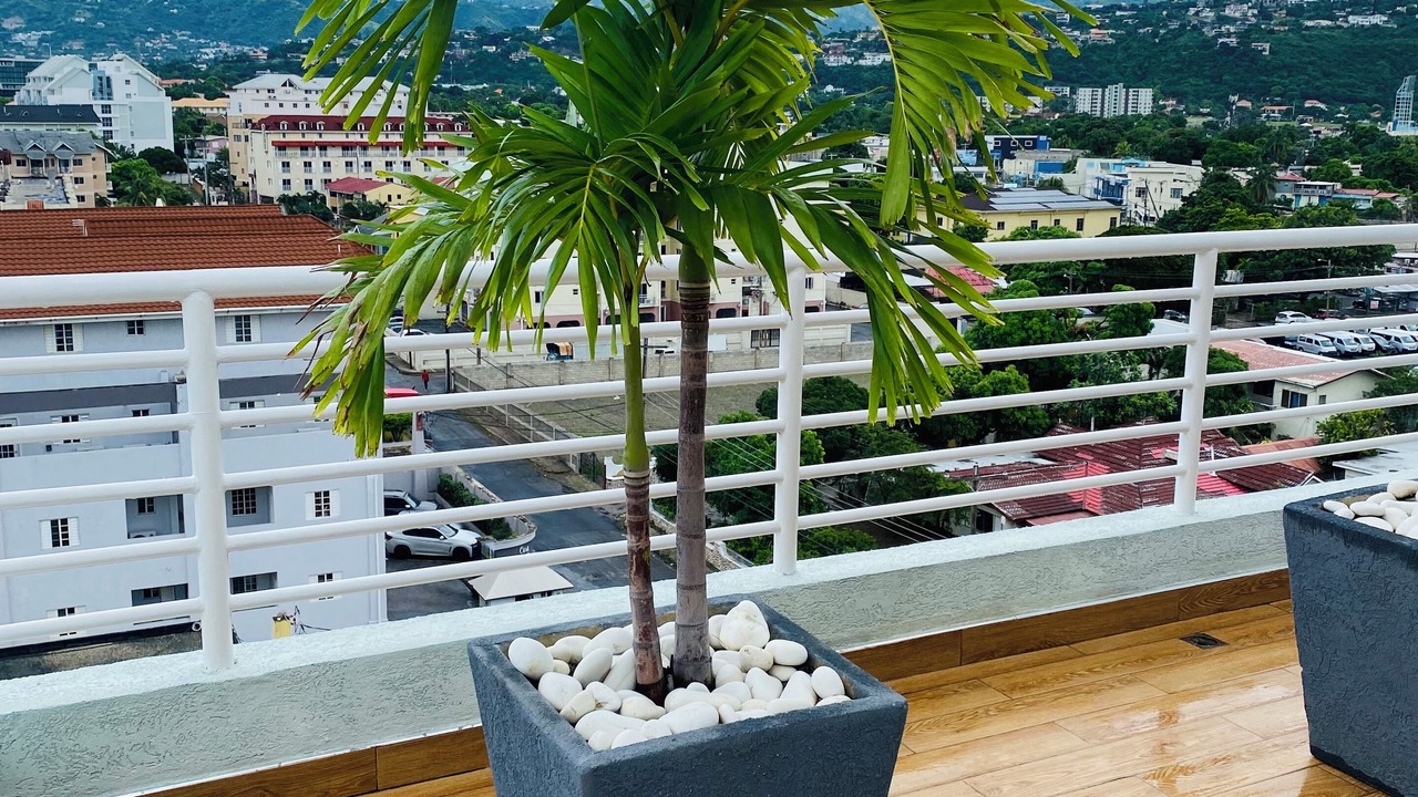 Photo of Outdoor in Eden Gardens