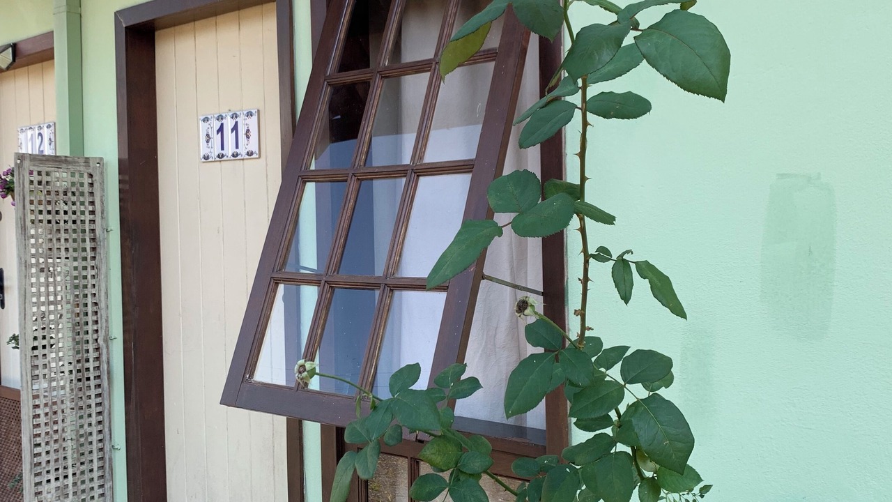 Photo of Outdoor in Mangueira