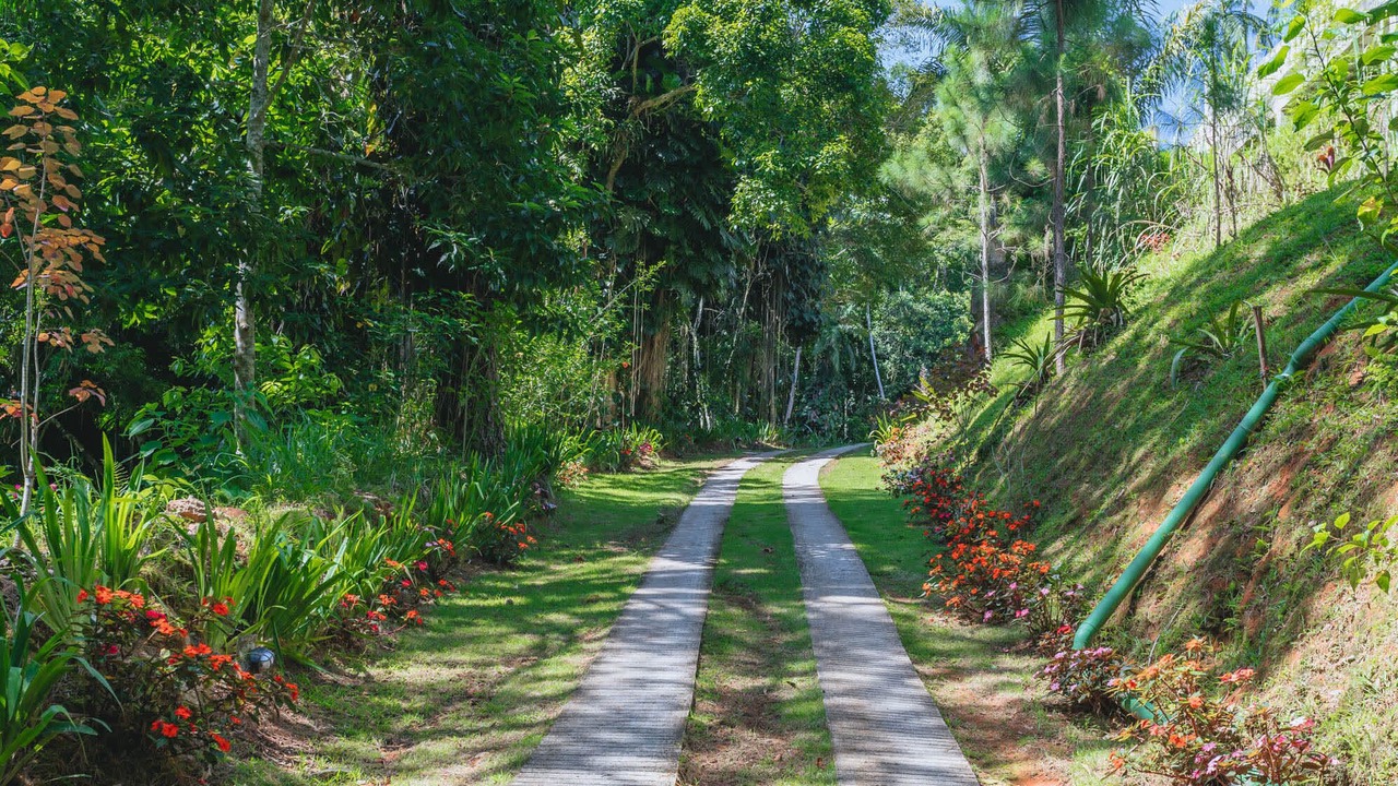 Photo of Others in Petropolis