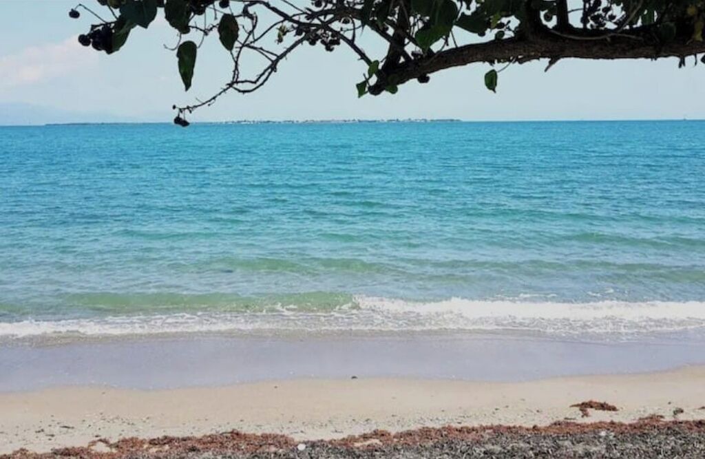 Photo of Others in Portmore