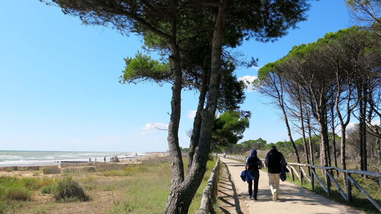 Photo of Others in Bibione Lido del Sole