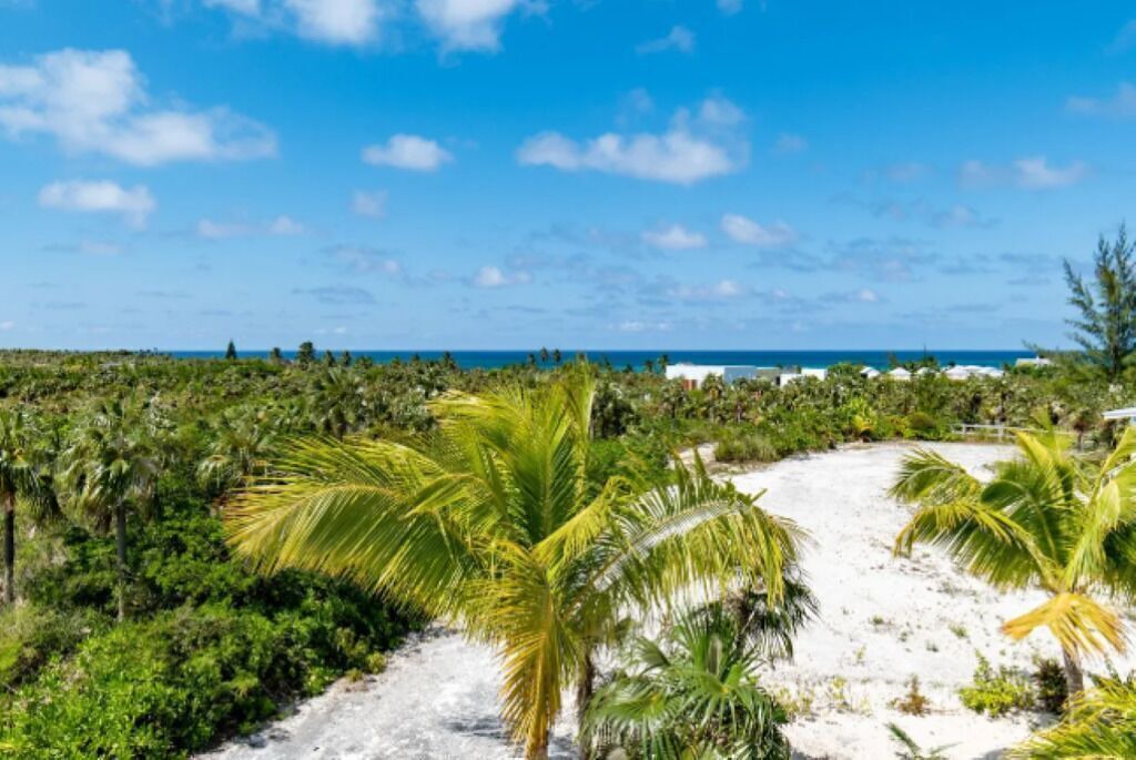 Photo of Others in North Palmetto Point
