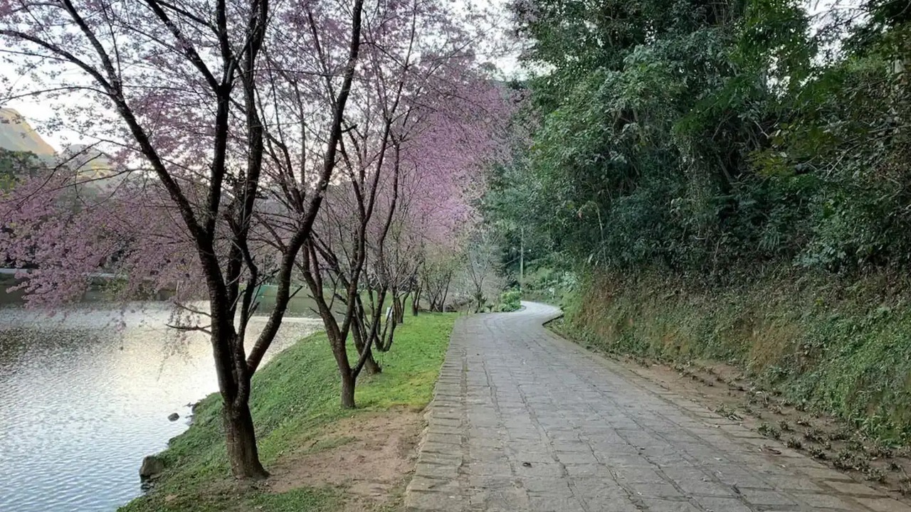 Photo of Others in Teresopolis