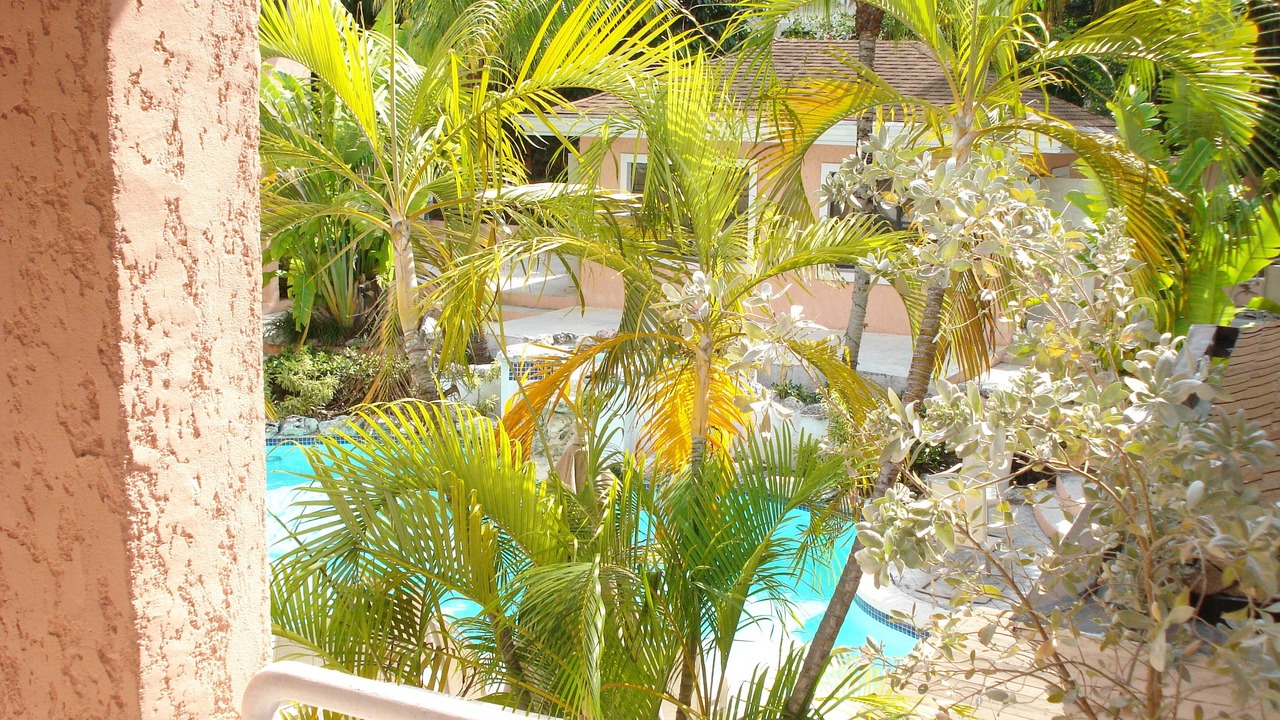 Photo of Outdoor in Paradise Island