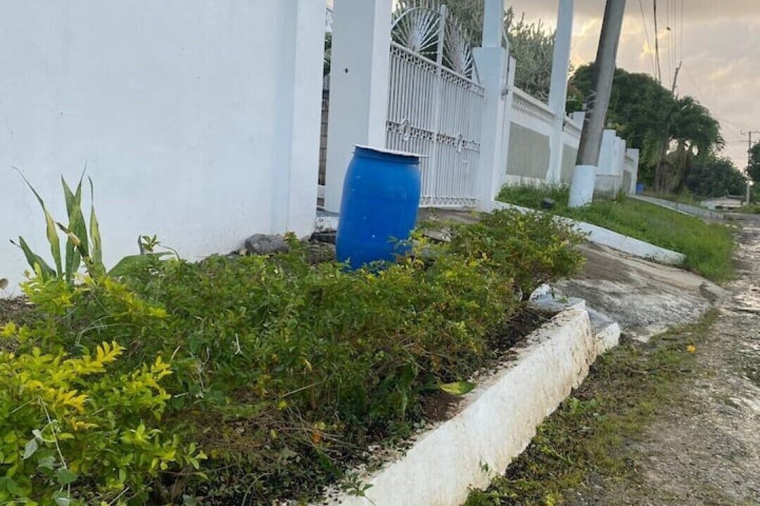 Photo of Outdoor in Yallahs