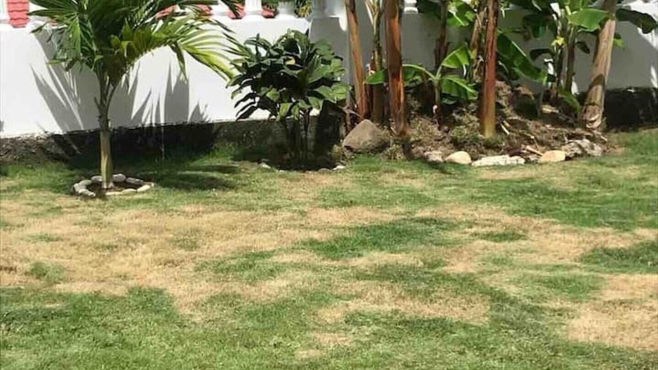 Photo of Outdoor in Yallahs