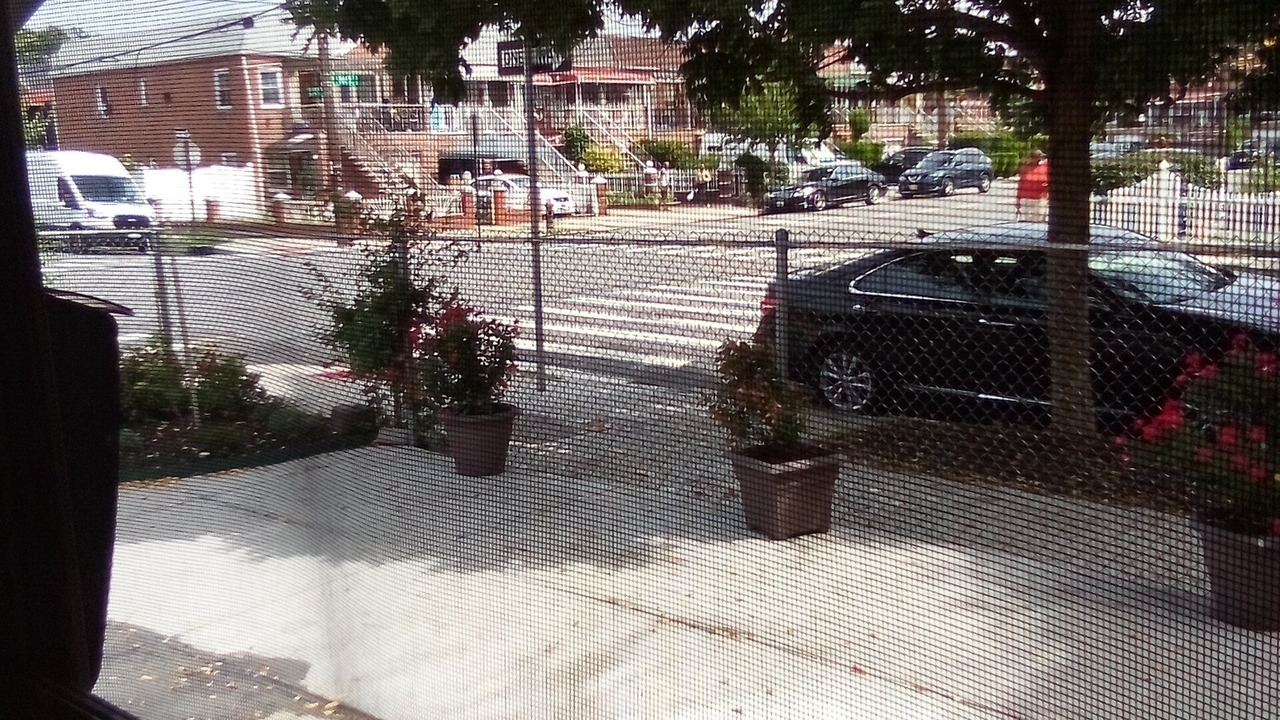 Photo of Others in Canarsie